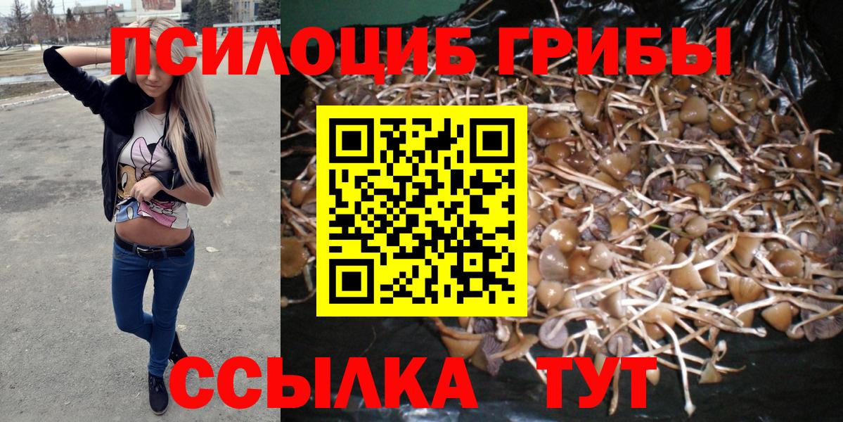 Псилоцибиновые грибы мухоморы  дарнет шоп  Щёлково  Вход с VPN 