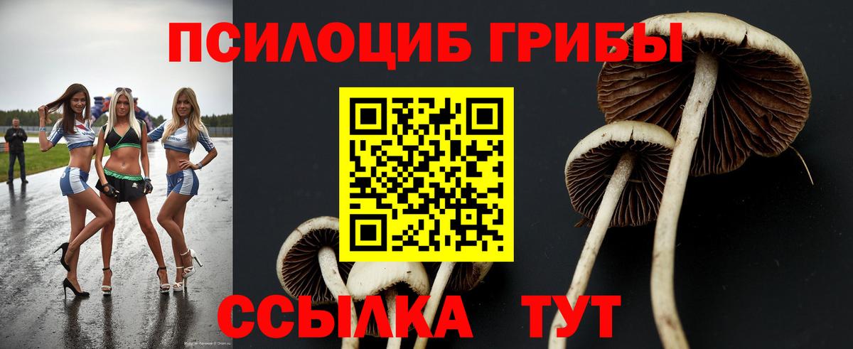 Галлюциногенные грибы Cubensis Щёлково