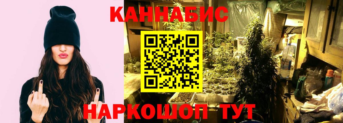 Бошки Шишки Ganja Щёлково